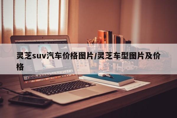 灵芝suv汽车价格图片/灵芝车型图片及价格