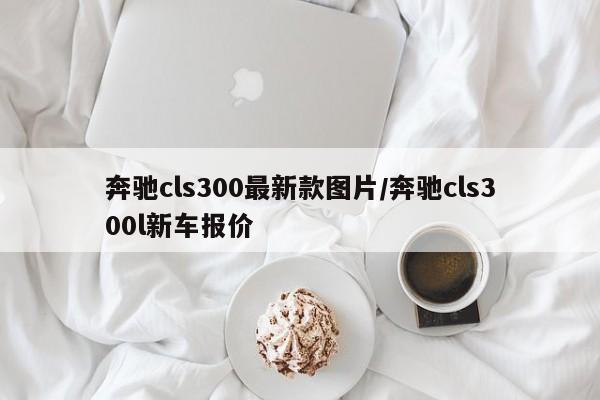奔驰cls300最新款图片/奔驰cls300l新车报价
